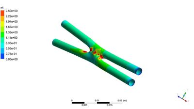 YourAnastomosis model