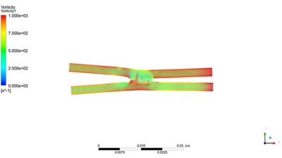 YourAnastomosis model