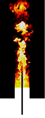 KAUST NH3 flame