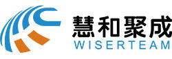 2021-08-partner-profile-logo-wiserteam.jpg