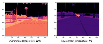 Thermal camera image of a deer at different temperatures
