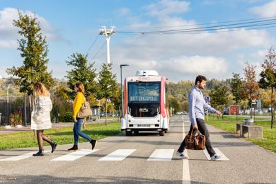 people crossing crosswalk