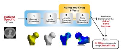 a-finite-element-model