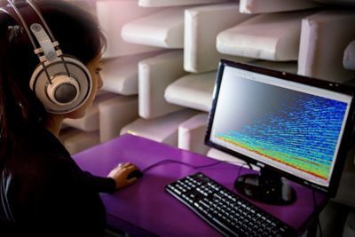 Ansys Sound Motion CAE vibration files 