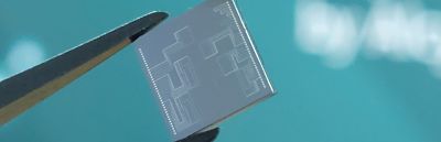 alcyon-banner-resized