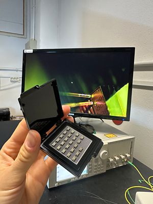 alcyon-chips-resized