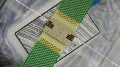 alcyon-designs-resized