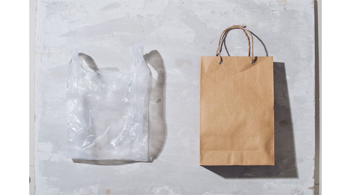 Paper bag vs plastic bag презентация