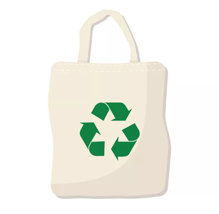Plastic Vs Cotton bags: Which is more sustainable?