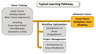 ansys-fluent-multiphase-flow-modeling-pathway.png