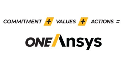 Ansys Values 