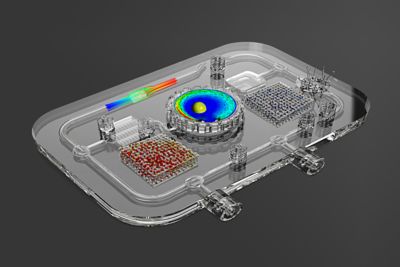 Simulation shown in the creation of Antleron's bioreactor.