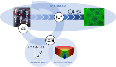Antleron bioprocess showing combination of data-based models and mechanistic models.
