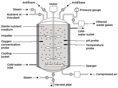 Batch bioreactor design