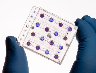 Artemis I BioSentinel microfluidics card