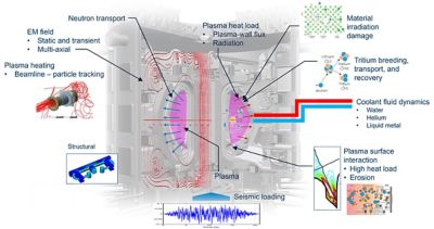 Fusion multiphysics