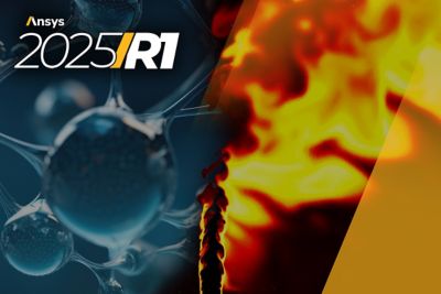 Ansys 2025 R1 Hydrogen simulation