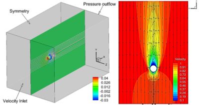 Terminal Velocity Case Study Webpage