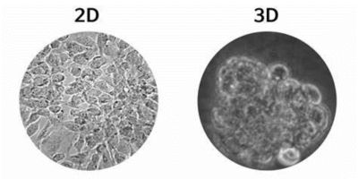 cells-under-a-microscope