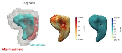 Clinical application