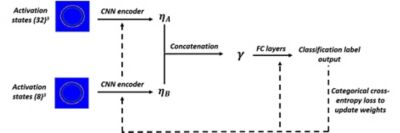 The collected activation states