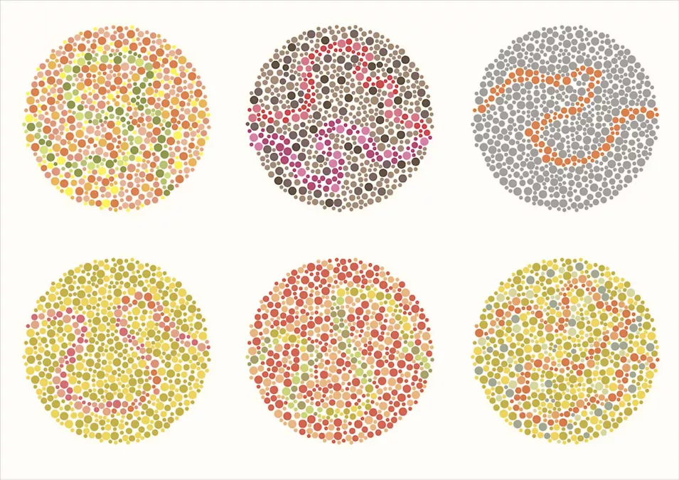 What Do Colorblind People See Simulation