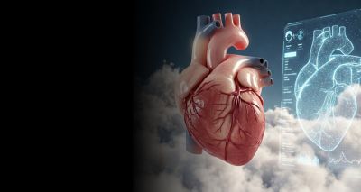 Copy of Untitled Design - Digital Twins in Cardiology: Dream or Reality - AEM Banner
