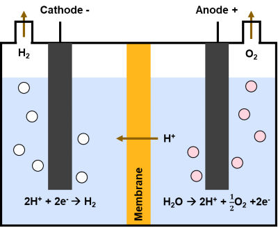 The electrolysis process can produce green hydrogen