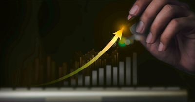Which NVIDIA Blackwell GPU Delivers the Best Fluent ROI?