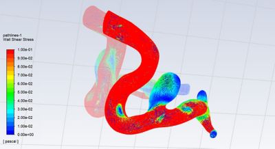 Fluent wall shear stress