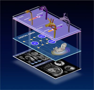 Future prospects and research directions