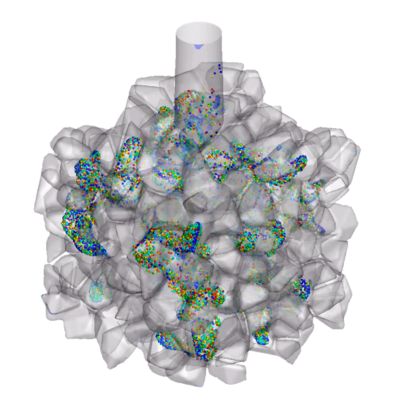 geometric-models-of-the-human-respiratory-system.psd