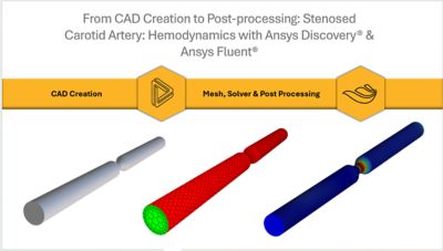Getting Started with Ansys Fluent for Biomedical Engineering  26 of 53 assets