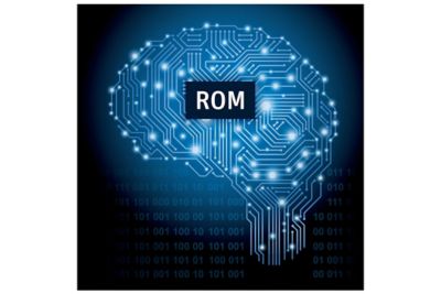 ROMs can predict an outcome when the input variables change.