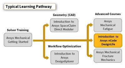 introduction-to-ansys-ncode-designlife.png