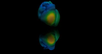 simulation of plane flying