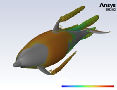 dolphin simulation