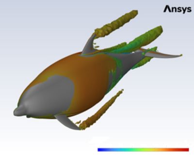 marine-bio-fluent-sim-image