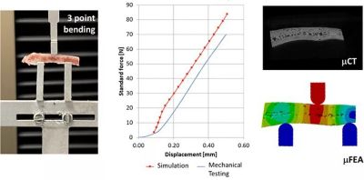 mechanical-testing-simulation.jpg