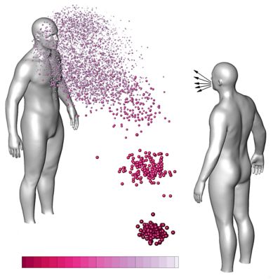 model the pathways of airborne particles following a cough