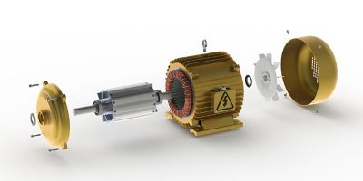 Electric generator with permanent rotor magnets
