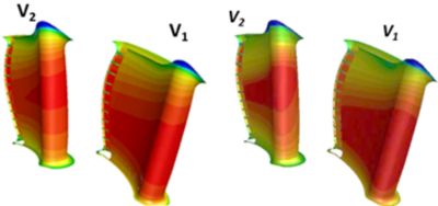 Near wall temperature contours on vane doublet walls.