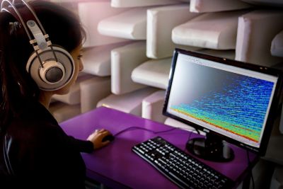 nvh simulation