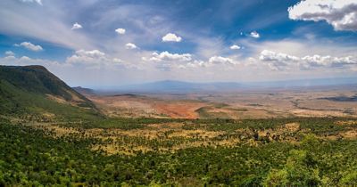 Kenyan Startup Harnesses Nature and Simulation To Advance Carbon Capture