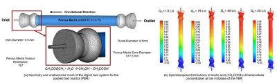Digital twin of packed bed reactor 