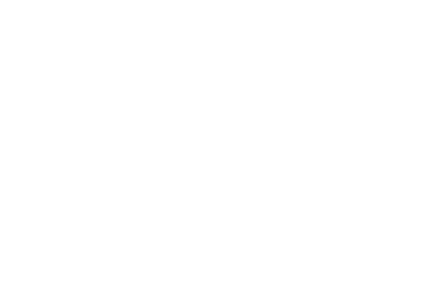 PDS Vision
