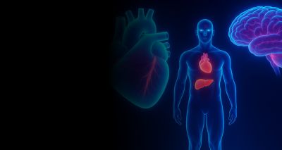 Personalized in silico multi-organ digital twin