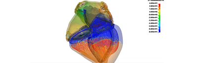 pyansys-heart-banner