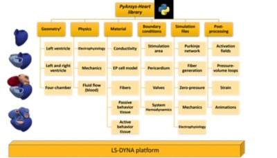 pyansys-heart-platform