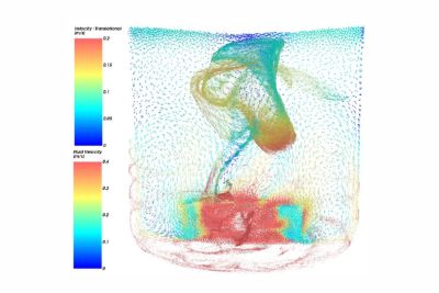 Rocky Multiphysics coupling
